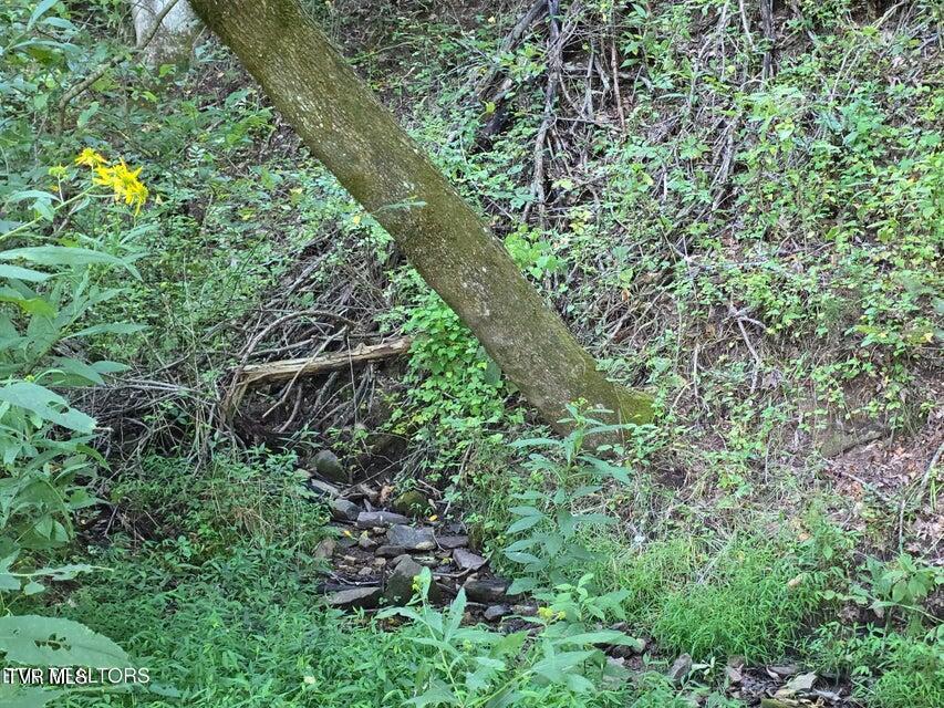 Photo #23: Tbd E Pumpkin Valley Road