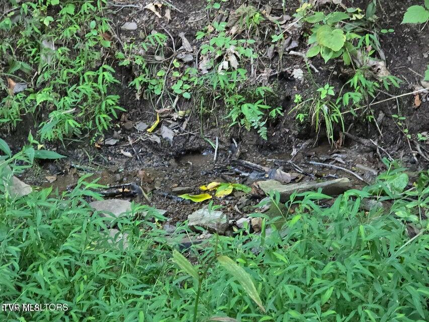 Photo #24: Tbd E Pumpkin Valley Road