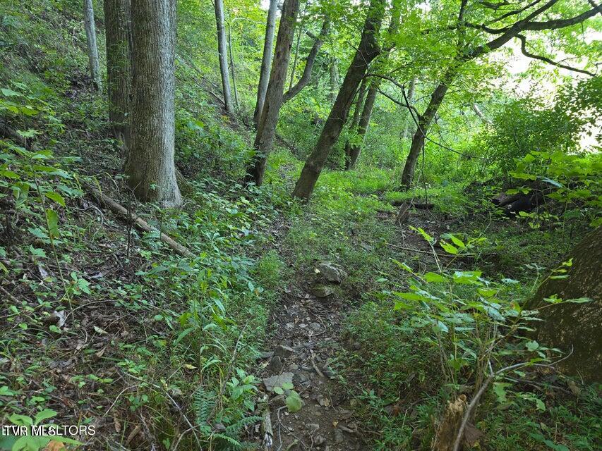 Photo #25: Tbd E Pumpkin Valley Road