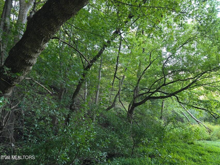 Photo #27: Tbd E Pumpkin Valley Road