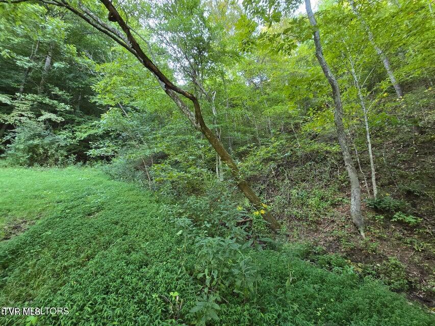 Photo #28: Tbd E Pumpkin Valley Road