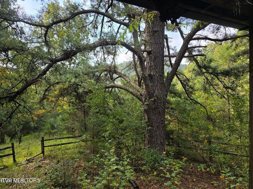 Photo #29: Tbd E Pumpkin Valley Road