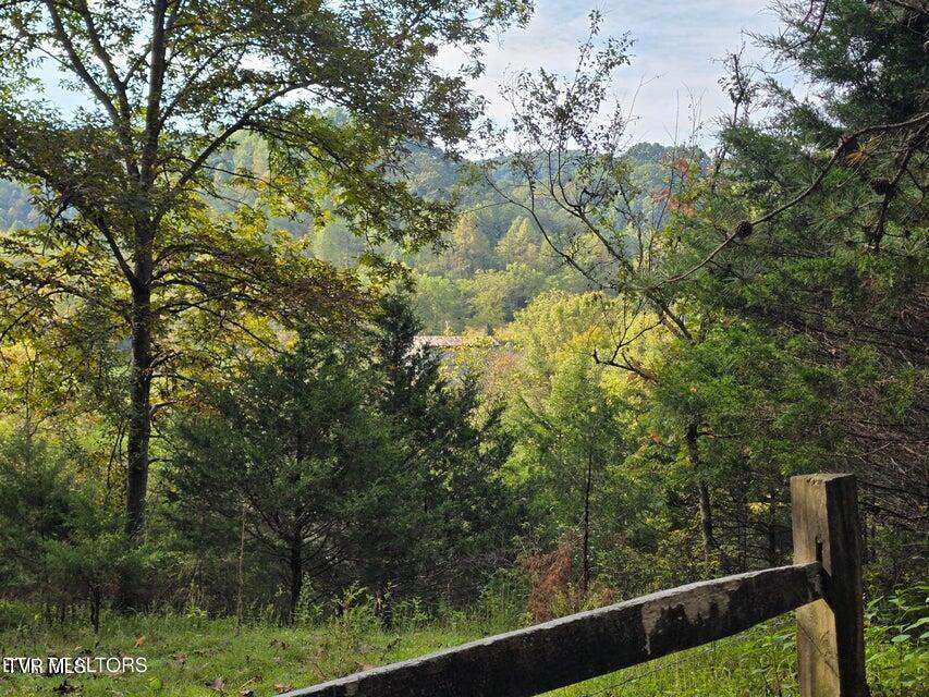 Photo #30: Tbd E Pumpkin Valley Road