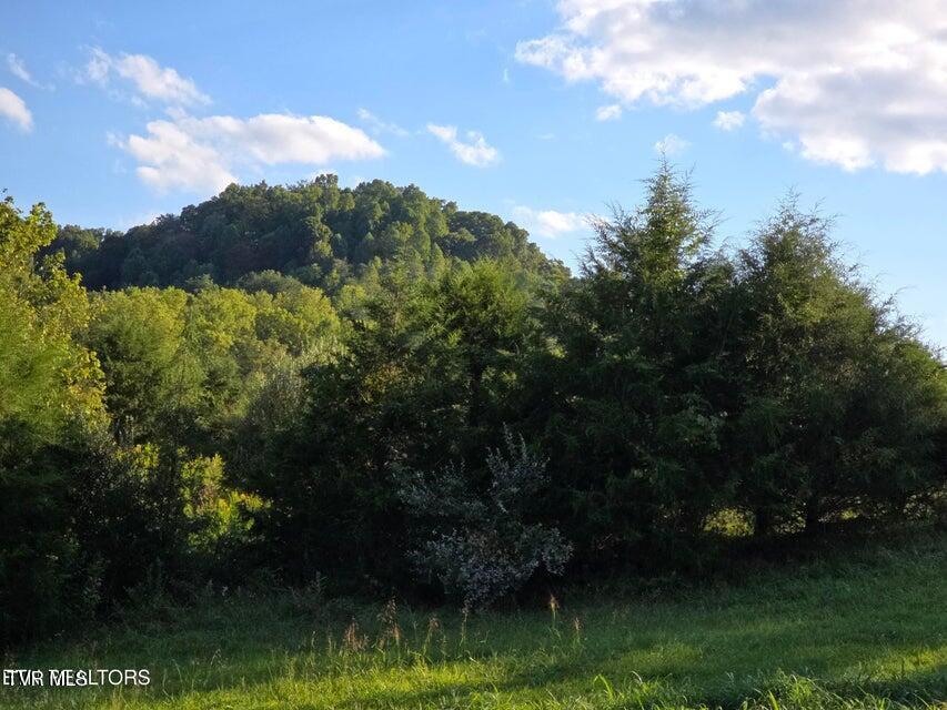 Photo #39: Tbd E Pumpkin Valley Road