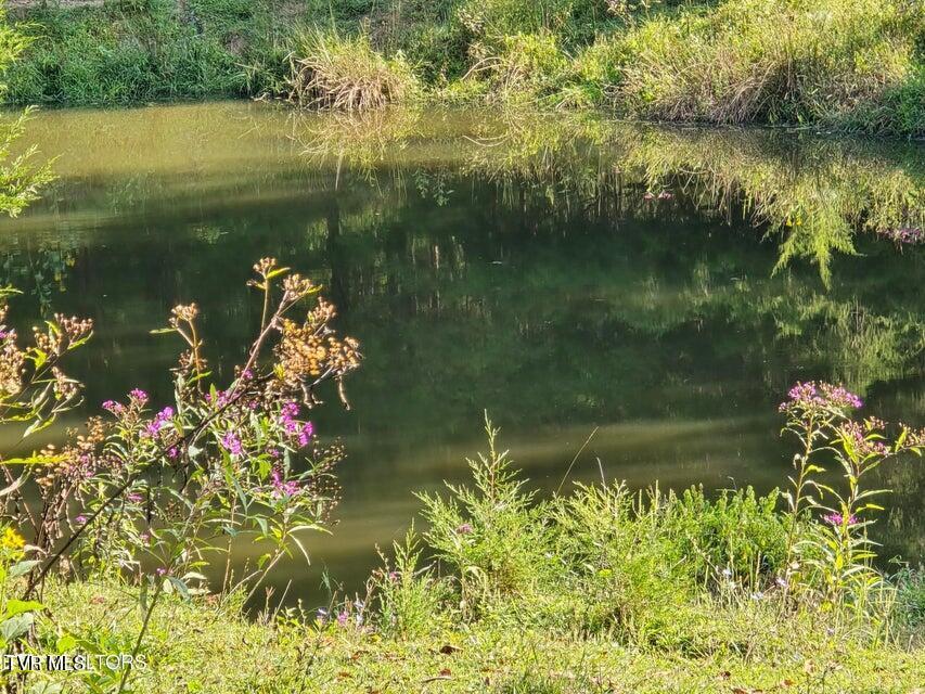 Photo #40: Tbd E Pumpkin Valley Road