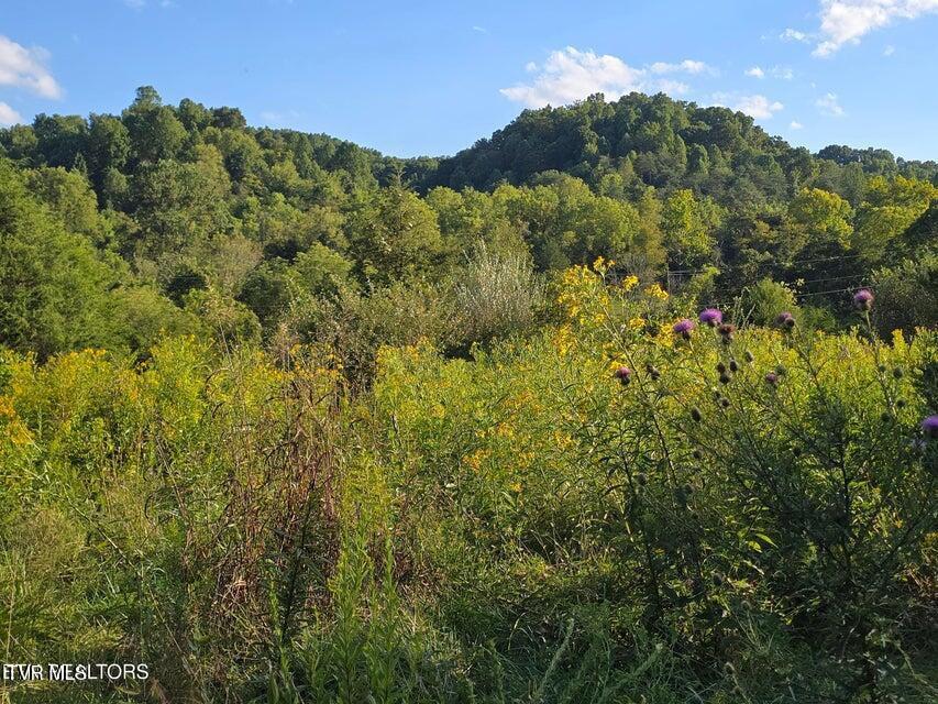 Photo #41: Tbd E Pumpkin Valley Road