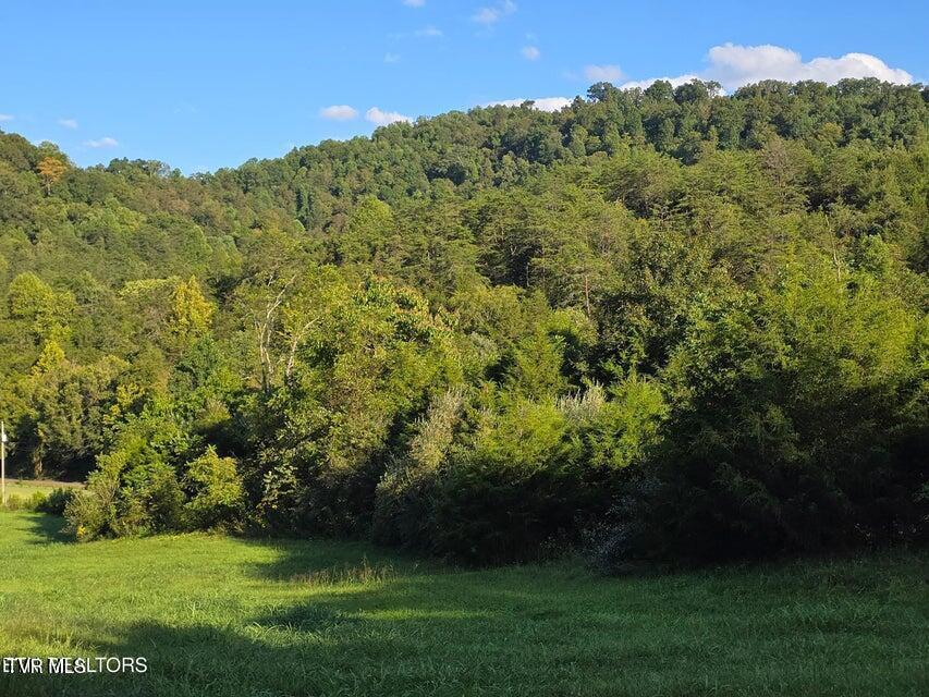 Photo #42: Tbd E Pumpkin Valley Road