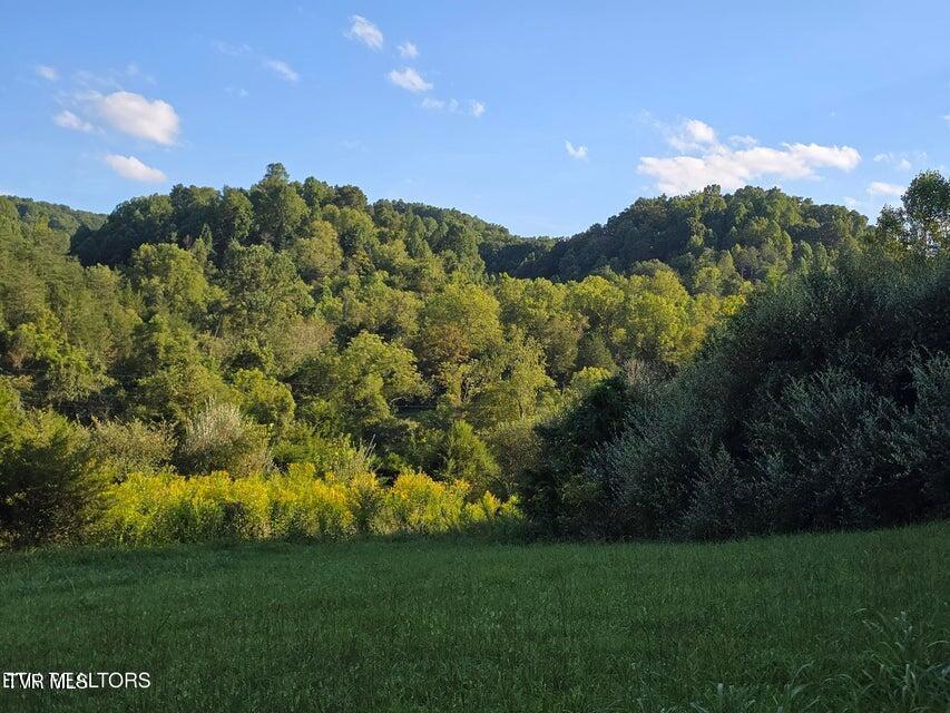 Photo #44: Tbd E Pumpkin Valley Road