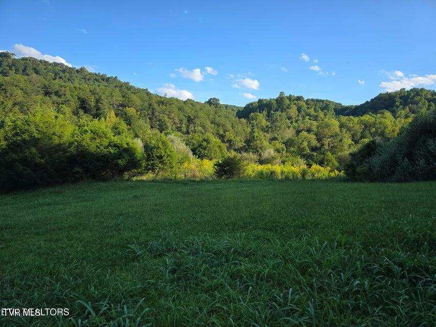 Photo #47: Tbd E Pumpkin Valley Road