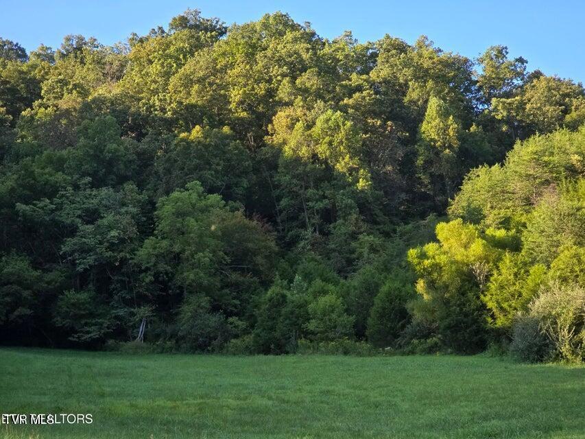Photo #49: Tbd E Pumpkin Valley Road