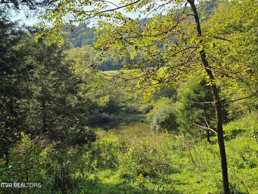 Photo #53: Tbd E Pumpkin Valley Road