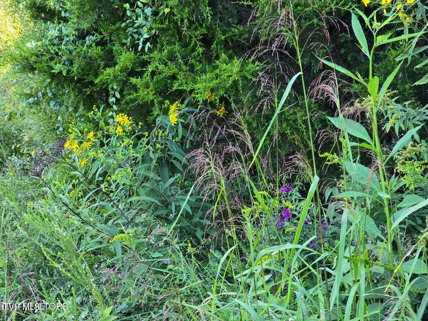 Photo #55: Tbd E Pumpkin Valley Road