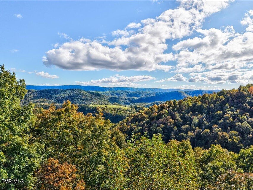 Photo #3: 0 Claude Bolden Lane