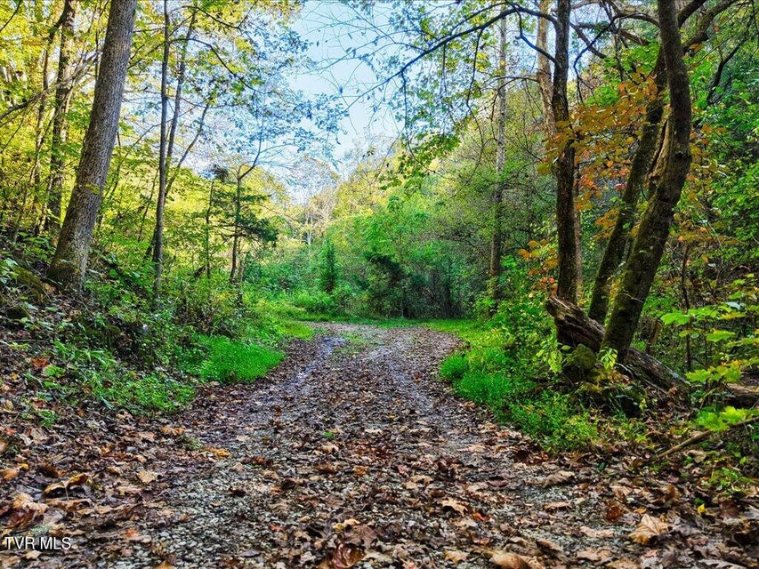Photo #4: 0 Claude Bolden Lane