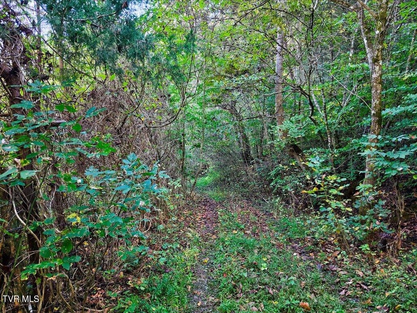 Photo #5: 0 Claude Bolden Lane