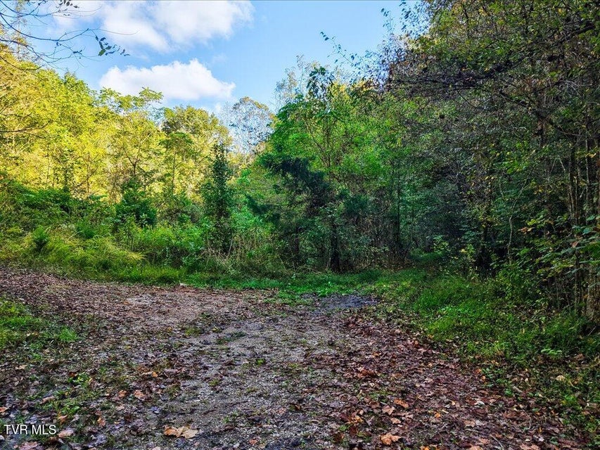 Photo #7: 0 Claude Bolden Lane