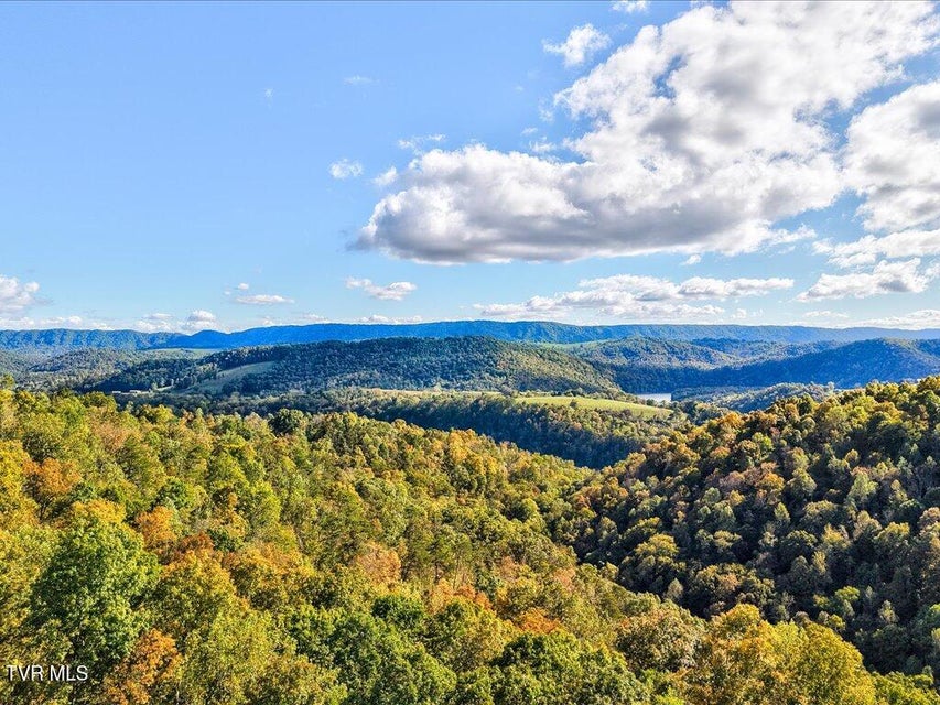 Photo #8: 0 Claude Bolden Lane