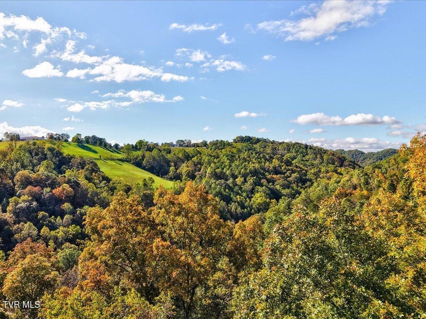 Photo #9: 0 Claude Bolden Lane