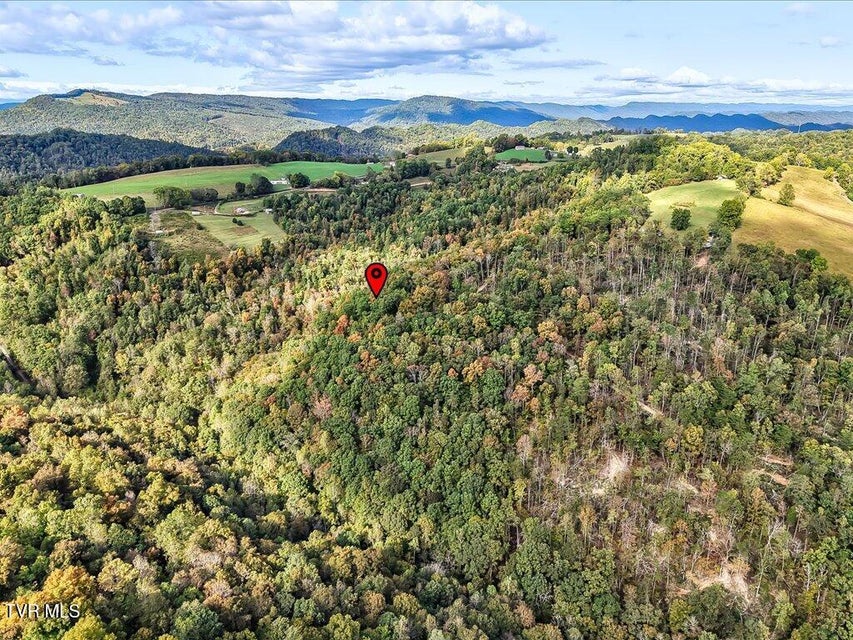 Photo #10: 0 Claude Bolden Lane