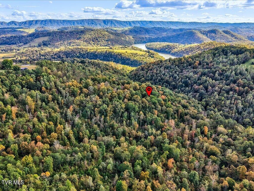 Photo #11: 0 Claude Bolden Lane