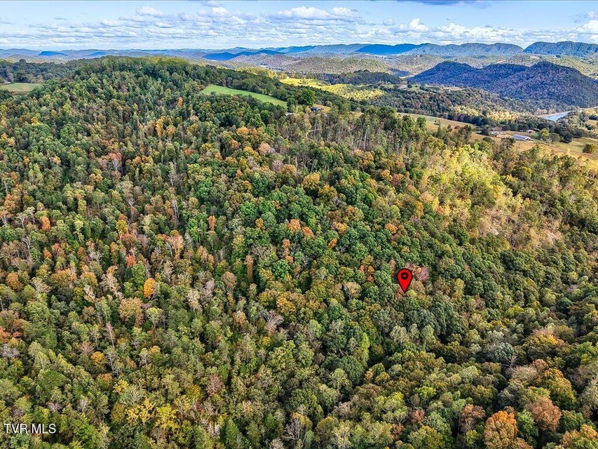 Photo #13: 0 Claude Bolden Lane