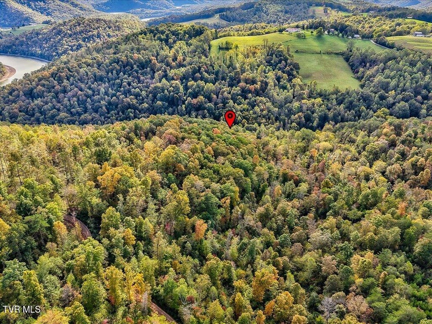 Photo #16: 0 Claude Bolden Lane