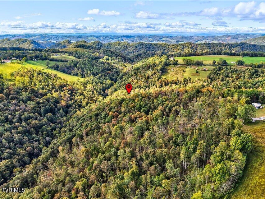 Photo #18: 0 Claude Bolden Lane