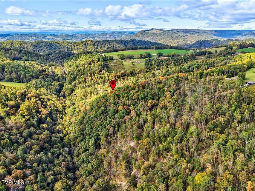 Photo #19: 0 Claude Bolden Lane