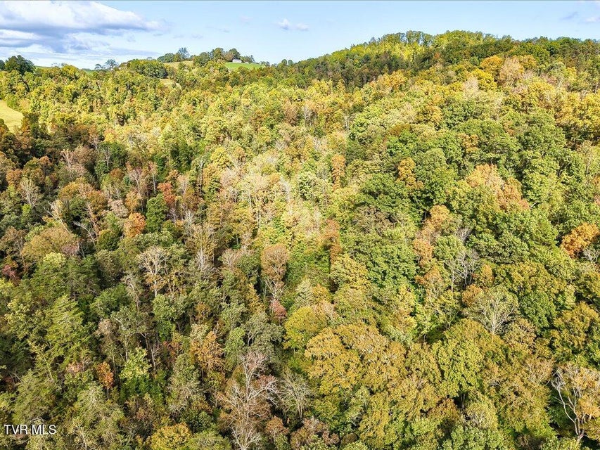 Photo #20: 0 Claude Bolden Lane