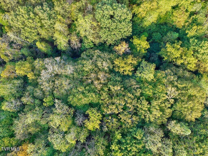 Photo #21: 0 Claude Bolden Lane