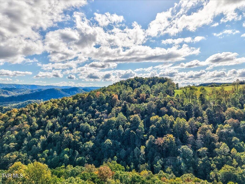 Photo #22: 0 Claude Bolden Lane