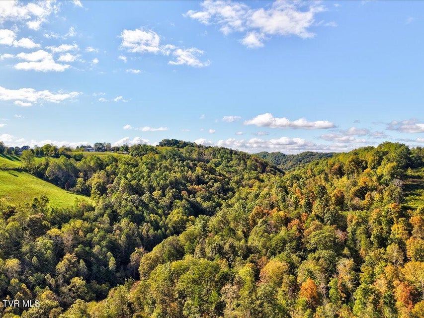 Photo #23: 0 Claude Bolden Lane