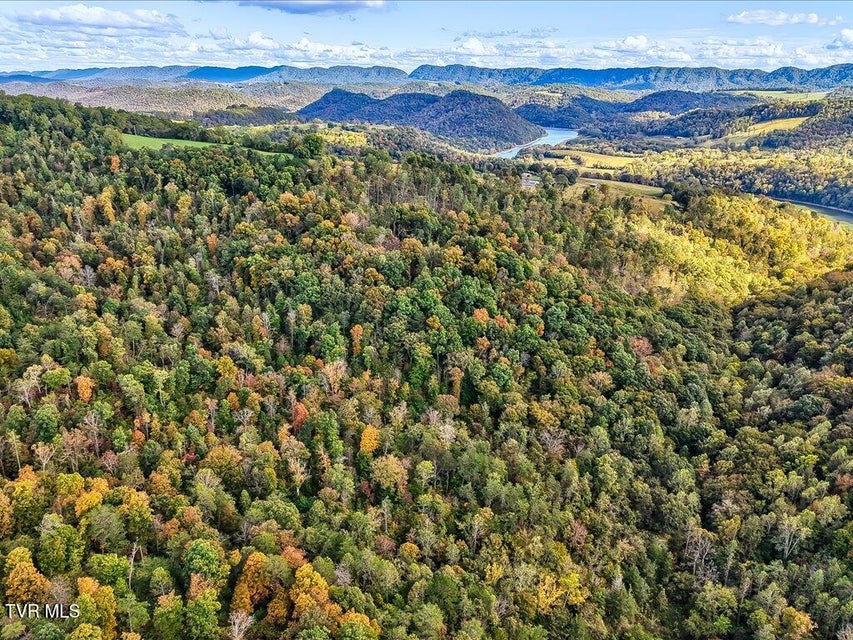 Photo #24: 0 Claude Bolden Lane