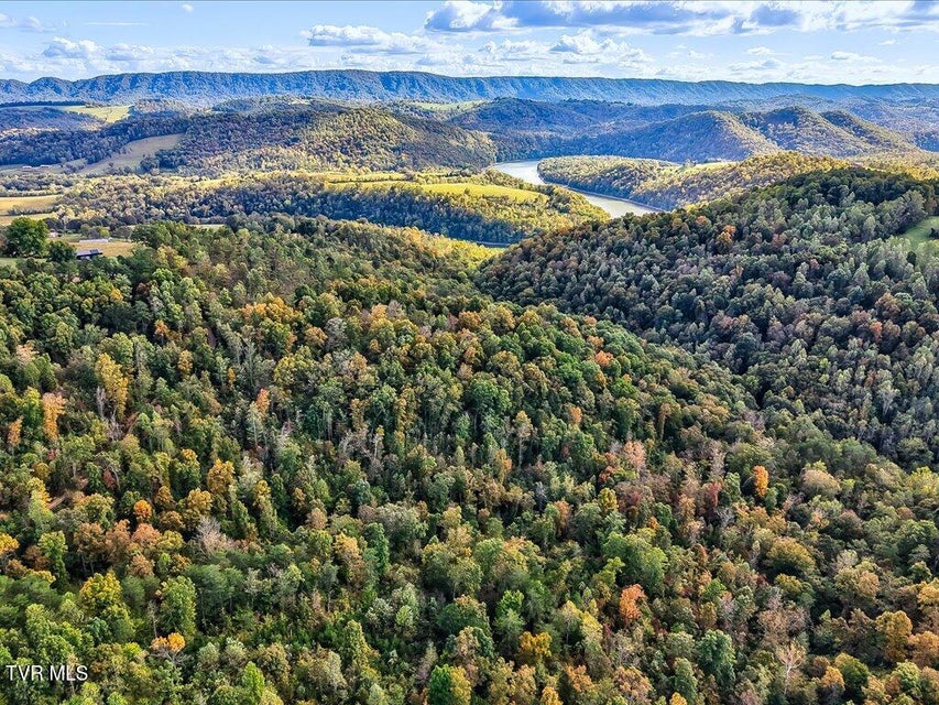 Photo #26: 0 Claude Bolden Lane