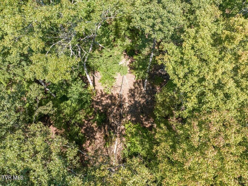 Photo #18: 20181 North Fork River Road