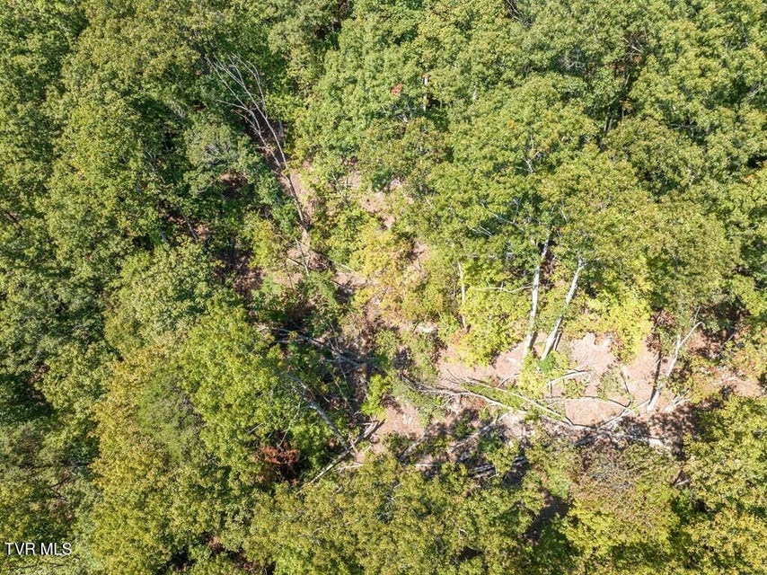 Photo #19: 20181 North Fork River Road