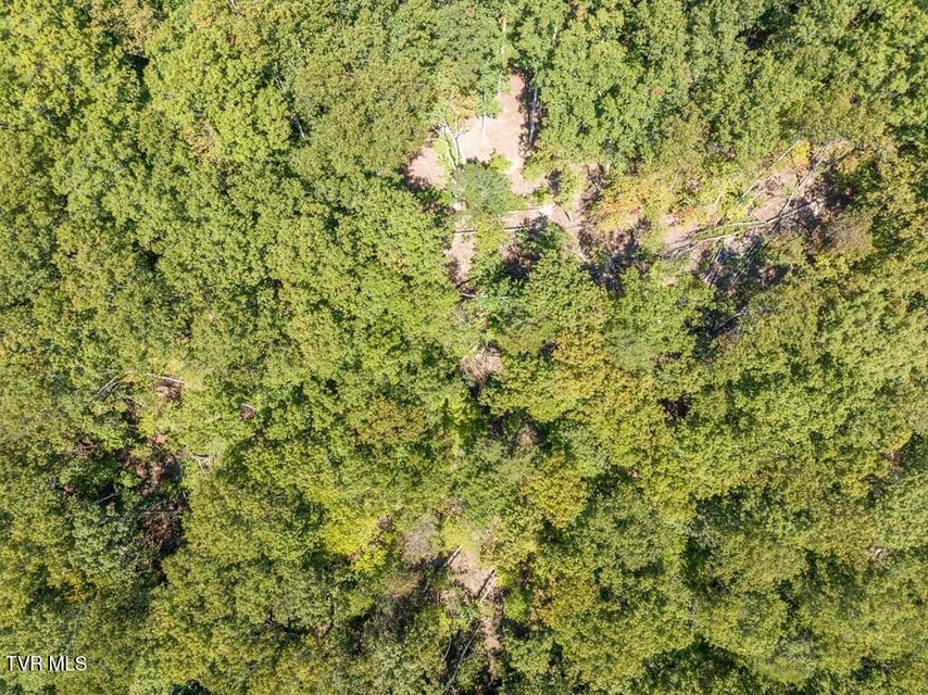 Photo #20: 20181 North Fork River Road