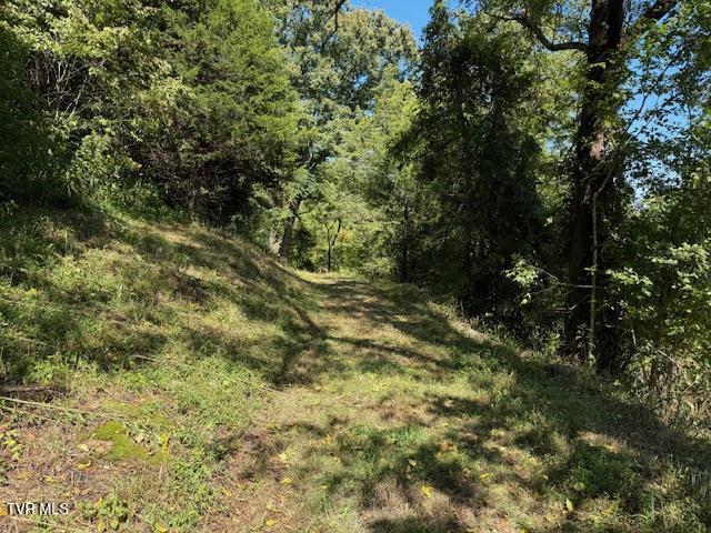 Photo #28: 20181 North Fork River Road