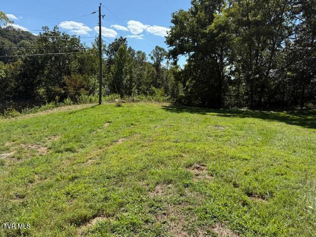 Photo #29: 20181 North Fork River Road