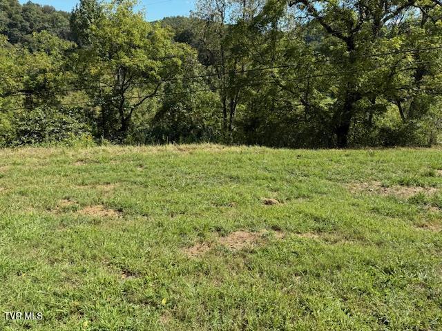 Photo #30: 20181 North Fork River Road