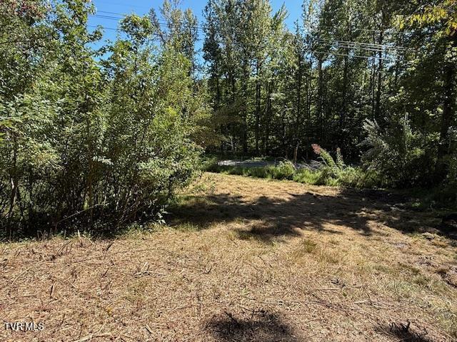 Photo #34: 20181 North Fork River Road