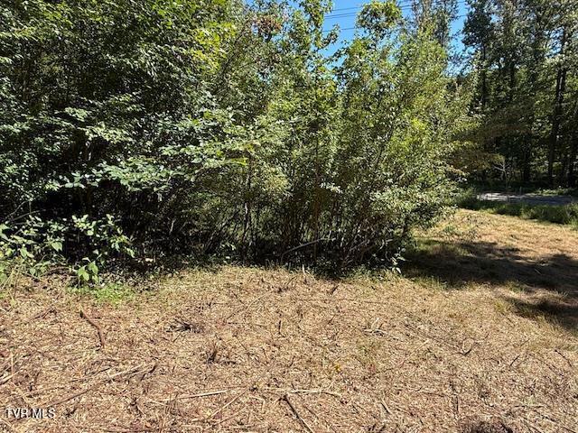 Photo #35: 20181 North Fork River Road