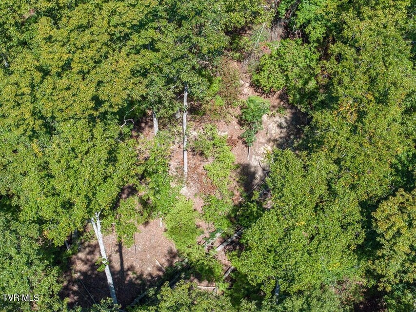 Photo #54: 20181 North Fork River Road