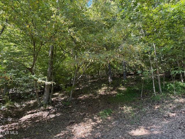 Photo #66: 20181 North Fork River Road