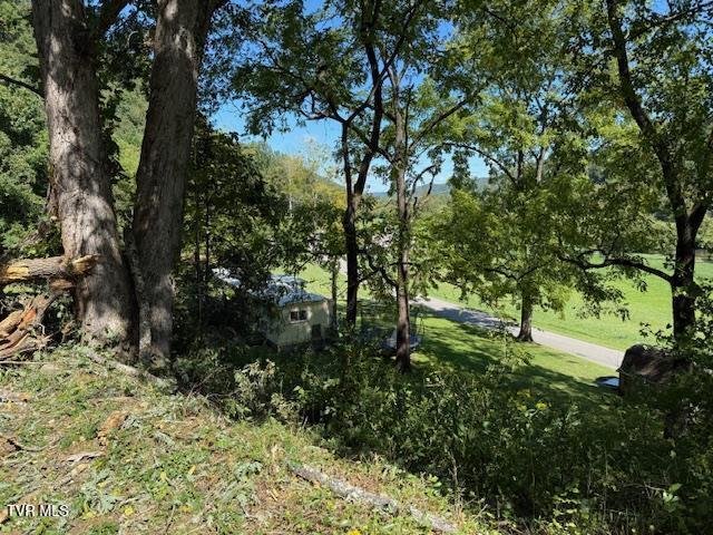 Photo #69: 20181 North Fork River Road