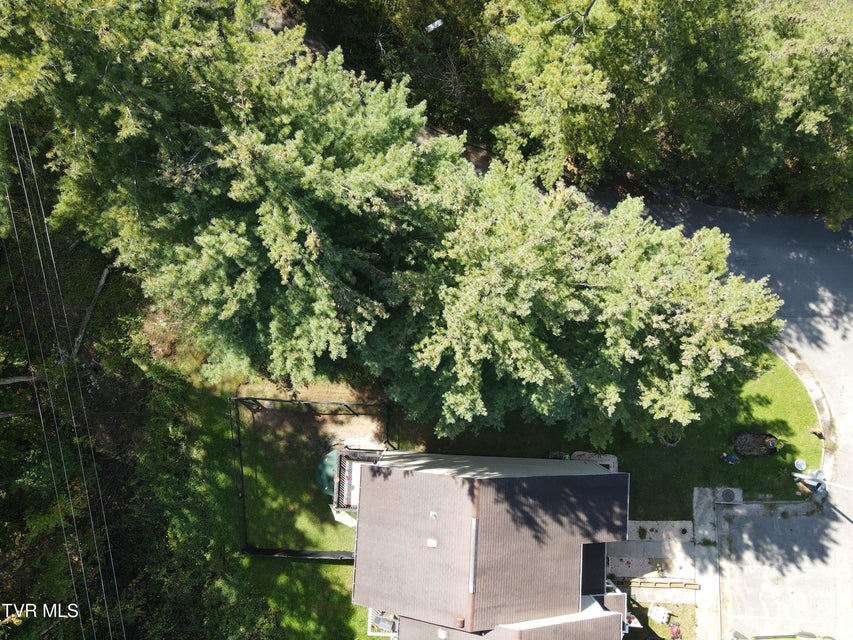 Photo #8: 48 Laurel Ridge