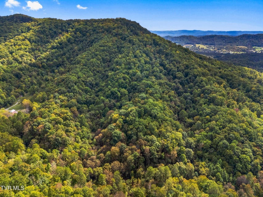 Photo #3: 0 Mcmakin Road