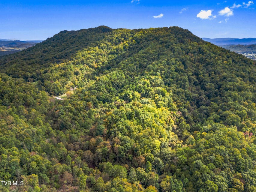 Photo #4: 0 Mcmakin Road