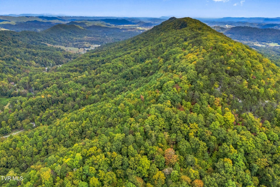 Photo #7: 0 Mcmakin Road