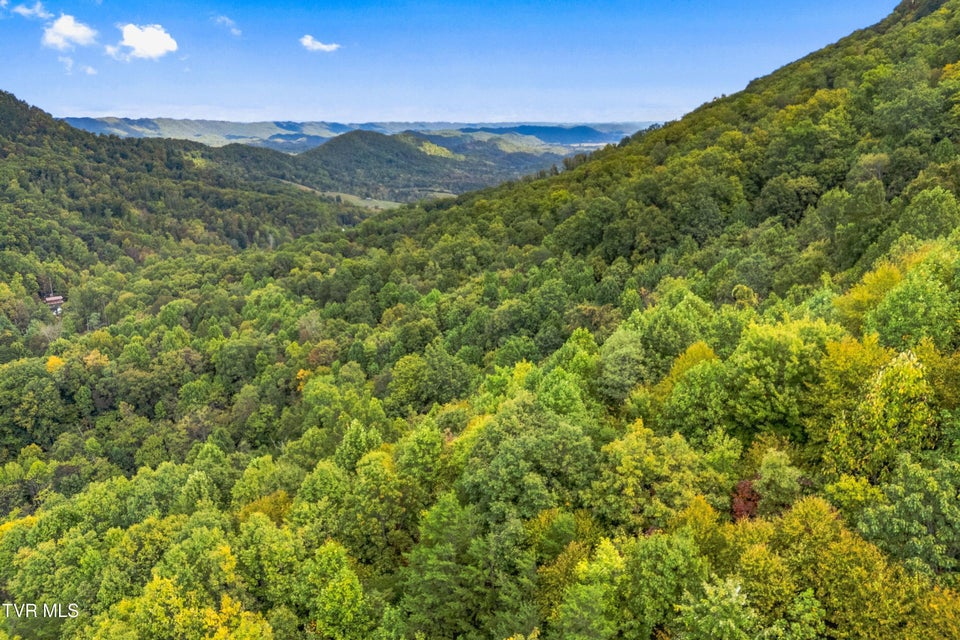 Photo #8: 0 Mcmakin Road